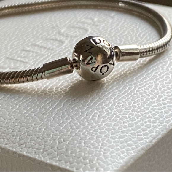 Smooth Snake Chain Pandora Bracelet - Picture 2 of 2